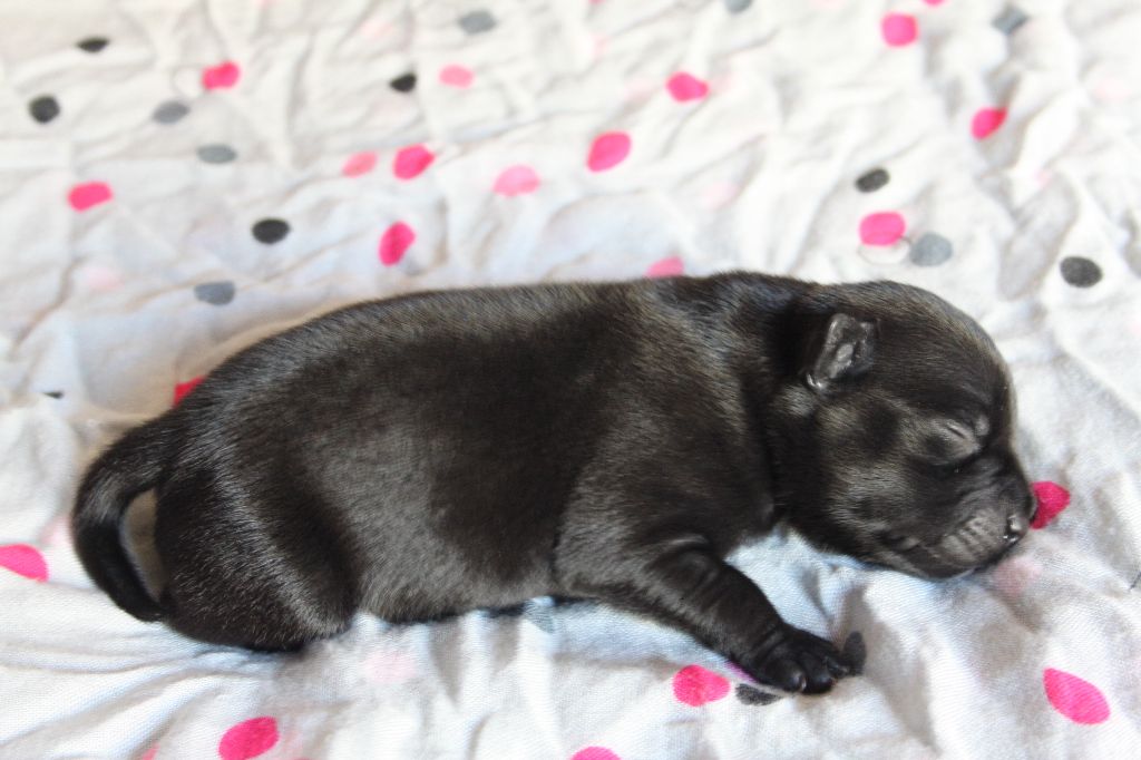 Les premiers bébés 4/07/2018