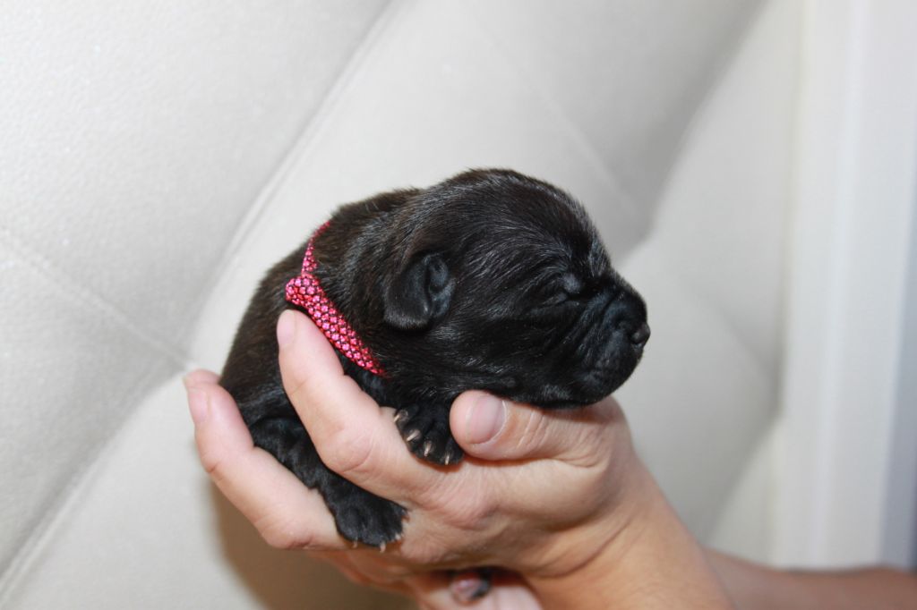 Chanel et Lucho